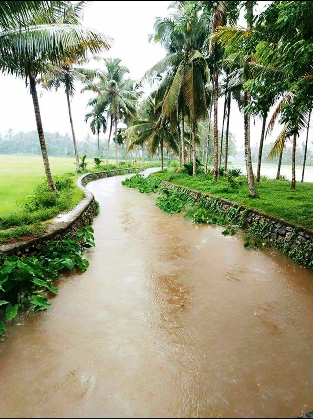 മഴ, പുതിയ ആനന്ദങ്ങളുടെ വഴിവെട്ടും. മുറ്റം നിറയെ മഴ ചിതറിത്തെറിപ്പിക്കുന്ന ആലിപ്പഴത്തിനായി ഓടിയിറങ്ങും. വീടോടുചേർന്ന തോടാകെ കവിഞ്ഞ് കുത്തിയൊലിക്കുന്നത് പോയിനോക്കിനിൽക്കും.