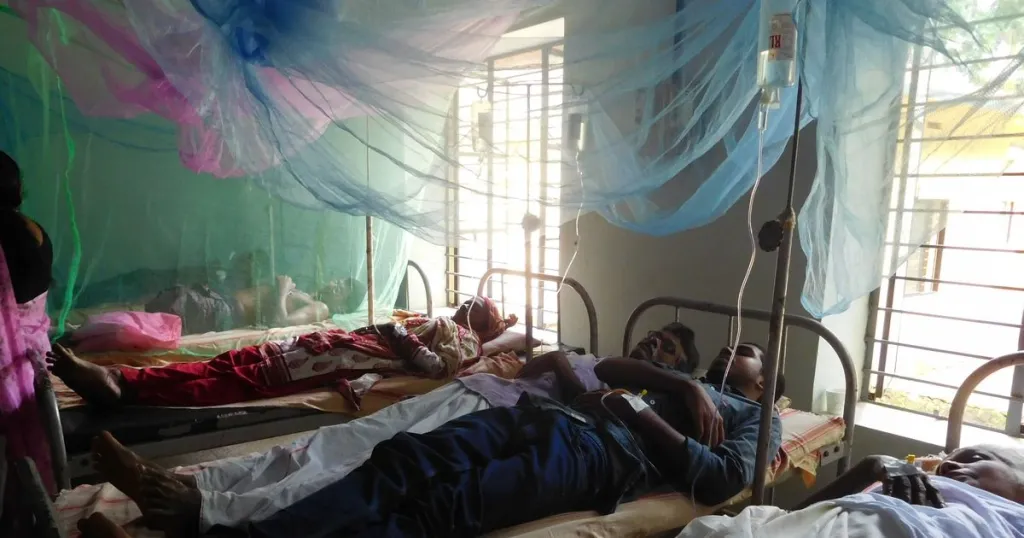 ഡെങ്കിപ്പനി, ലെപ്റ്റോസ്പൈറോസിസ് തുടങ്ങിയ രോഗങ്ങൾ കേരളത്തിന്റെ വർഷങ്ങളായി തുടരുന്ന പുതിയ യാഥാർത്ഥ്യങ്ങളാണ്.