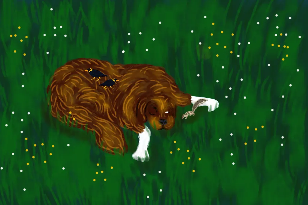 ചിത്രീകരണം: അർച്ചന രവി.