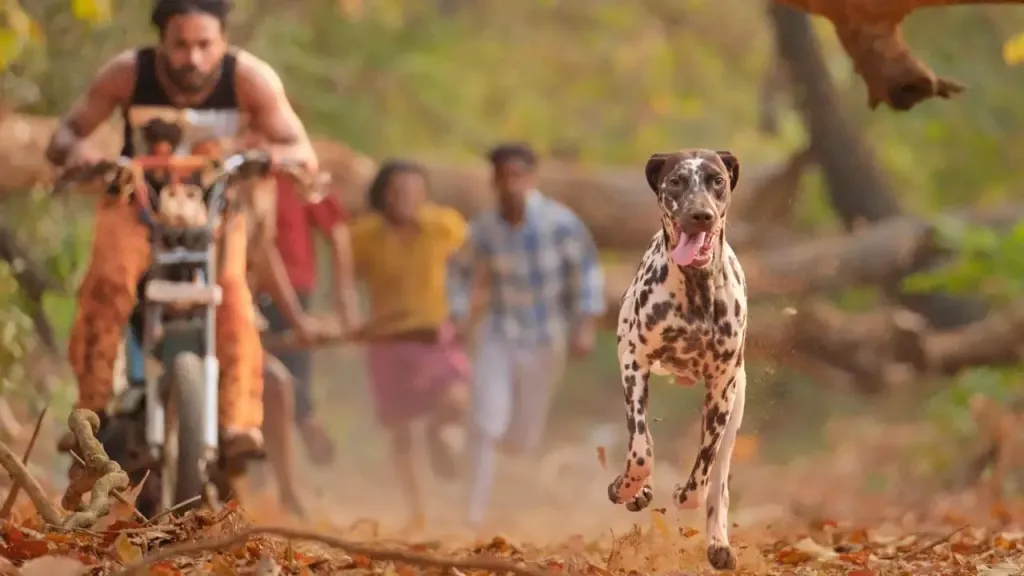 അടിസ്ഥാനപരമായി മൃഗങ്ങൾ തന്നെയാണ് മനുഷ്യർ. അത് സമ്മതിക്കാൻ മനുഷ്യർക്ക് മാത്രം ബുദ്ധിമുട്ടുണ്ടാവും. മനുഷ്യർ തങ്ങളെ മറ്റുള്ള ജീവജാലങ്ങളിൽ നിന്ന് വേറിട്ട വിഭാഗമായി സ്വയം കരുതി വെച്ചിരിക്കുന്നു.