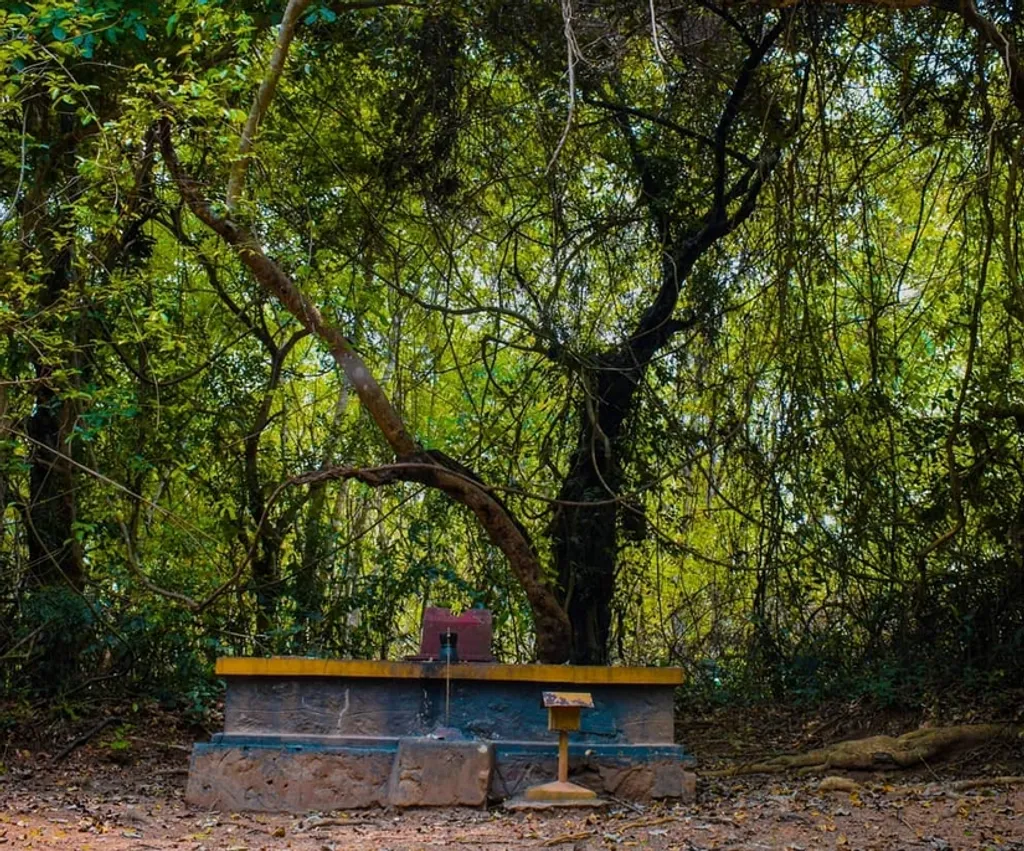  അനുഷ്ഠാനത്തിലൂടെ സാമൂഹിക വിധേയപ്പെടൽ നടത്തേണ്ടതായി വരും. വിധേയപ്പെടുന്നത് ജാതിത്തറവാട്ടുകാരുടെ കാവിലോ (ഇപ്പോൾ അമ്പലങ്ങളായി മാറ്റുന്നുണ്ട്) തറവാട്ട് മുറ്റത്തോ ആയതിനാൽ തറവാട്ടിലെ അംഗങ്ങൾക്ക് മേൽക്കോയ്മാ ബോധം തുടരുവാനുള്ള അവസരം കൈവരുന്നു. 