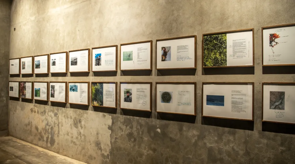 “ആംഫിബിയൻ ഈസ്തറ്റിക്‌സ്” എന്ന ആശയം, അല്ലെങ്കിൽ ഷോ അതിലെ പലതരം  കലാരൂപങ്ങളിലൂടെ പൊതുവായ നിലനിൽപ്പിന്റെ ചർച്ചകളിലേക്കും ചിന്തകളിലേക്കും നമ്മെ നയിക്കുന്നു. 