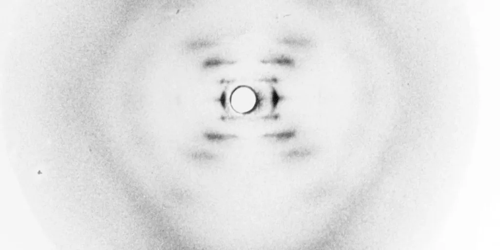 ഡി.എൻ.എയുടെ ഏറ്റവും മികച്ച എക്സ്- റേ ഡിഫ്രാക്ഷൻ ചിത്രങ്ങൾ ഫ്രാങ്ക്‍ലിന്റെ സൂക്ഷ്മവും കൃത്യതയുമുള്ള സാങ്കേതികവിദ്യയിലൂടെയാണ് ലഭിച്ചത്. ഇതിൽ, 'ഫോട്ടോ 51' എന്നറിയപ്പെടുന്ന ചിത്രം ഏറ്റവും പ്രധാനപ്പെട്ടതായിരുന്നു.