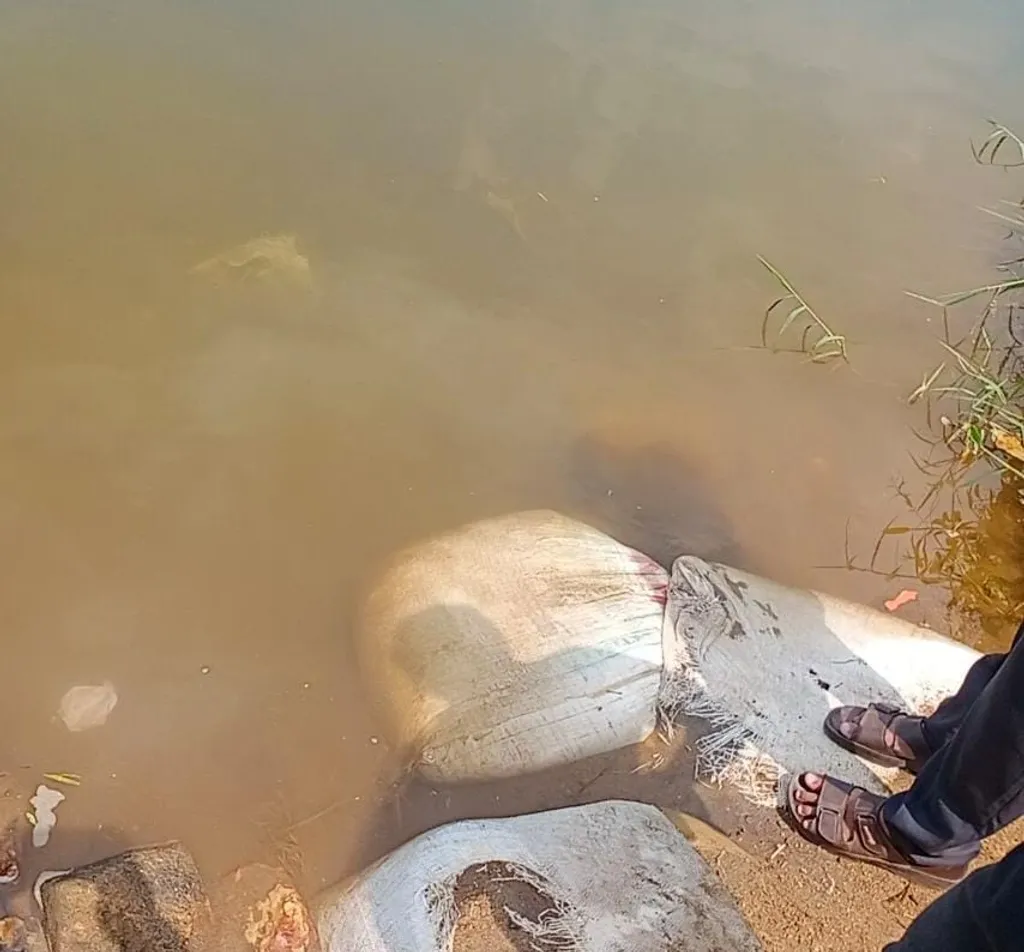 ചാലിയാറിലെ പെൺകുട്ടി ദുരൂഹസാഹചര്യത്തിൽ മരിച്ചുകിടന്ന കടവ്.