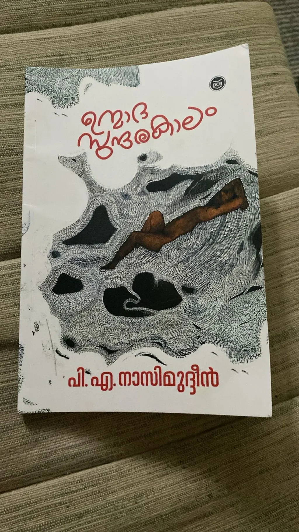 പാമ്പ് ഉറയൂരുംപോലെ പൊഴിച്ചിട്ട ഉന്മാദത്തിന്റെയും വിഷാദത്തിന്റെയും പോയ കാലത്തിലേക്കുള്ള  തിരിഞ്ഞുനോട്ടമാണ് ഈ പുസ്തകം.