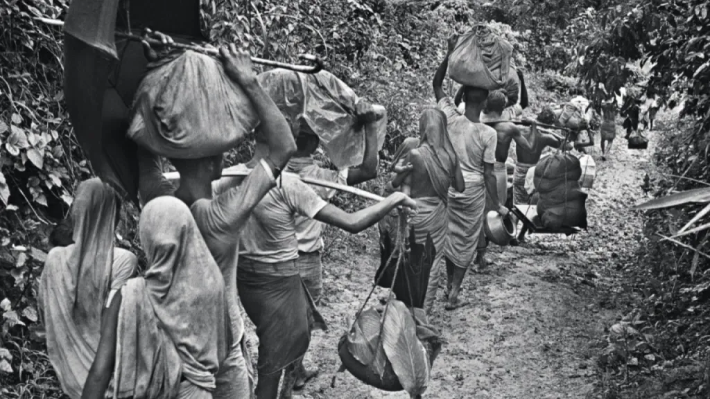 രഘു റായിയുടെ ക്യാമറ ഡോക്യുമെൻറ് ചെയ്ത 1971-ലെ ബംഗ്ലാദേശ് അഭയാർത്ഥി പലായനം, 1984-ലെ ഭോപ്പാൽ ഗ്യാസ് ദുരന്തം, അടിയന്തരാവസ്ഥയുടെ അനന്തരകാലം എന്നിവയെല്ലാം ആധുനിക ഇന്ത്യയിലെ മറ്റൊരു ചരിത്രരേഖയ്ക്കും സാധിക്കാത്ത തരത്തിലുള്ള ആഴമുള്ള ദൃശ്യരേഖകളാണ്.