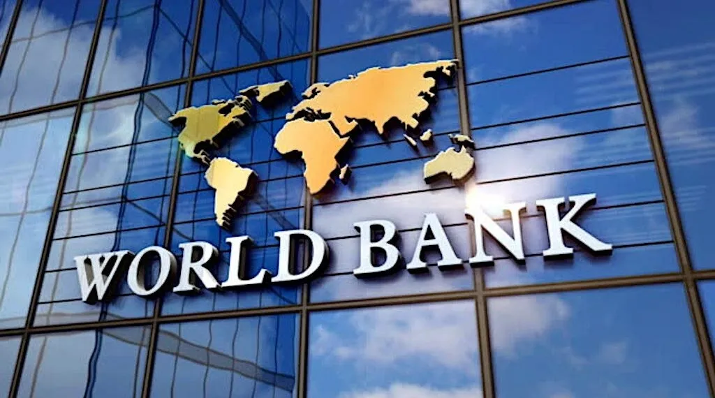 അന്താരാഷ്ട്ര നാണയനിധി (IMF), ലോകബാങ്ക് (World Bank), ലോക വ്യാപാര സംഘടന (WTO) തുടങ്ങിയ അന്താരാഷ്ട്ര സംഘടനകളിലൂടെ നവലിബറൽ ഭരണകൂട നടപടികൾ ഔദ്യോഗികമായി നടപ്പിലാക്കപ്പെടുന്നു. 