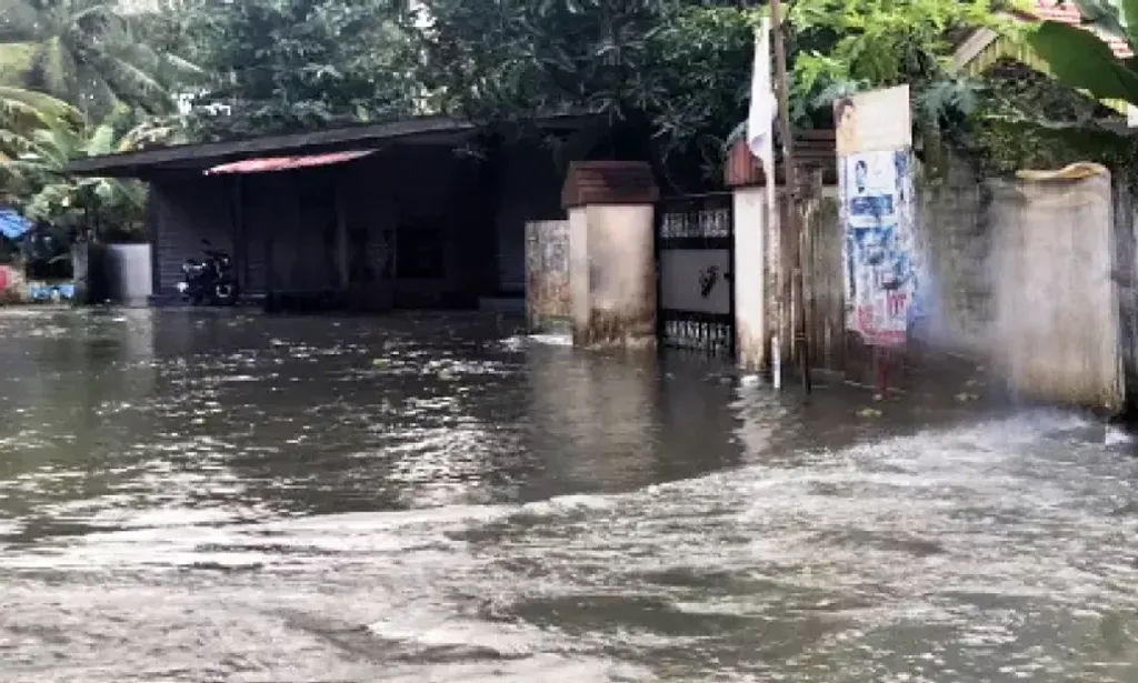 കാലാവസ്ഥാവ്യതിയാനം മൂലം വൈറസുകളും ബാക്ടീരിയയും പരത്തുന്ന രോഗങ്ങൾ കൂടുന്നതായി ധാരാളം പഠനങ്ങളുണ്ട്. അമിതമായ മഴ മൂലം വെള്ളക്കെട്ടുകൾ അവരുടെ വളർച്ചയെ ത്വരിതപ്പെടുത്തുന്നു .