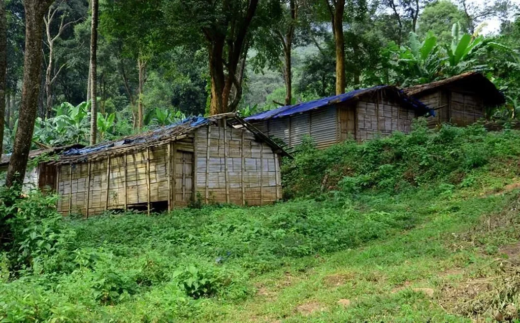 ആദിവാസി പ്രദേശങ്ങളിൽ ഇന്നും കുടിവെള്ളവും പാർപ്പിടവും പൂർണമായി ലഭ്യമായിട്ടില്ല. അട്ടപ്പാടി, വയനാട് തുടങ്ങിയ സ്ഥലങ്ങളിൽ തൂക്കക്കുറവും ശിശുമരണവും പ്രധാന പ്രശ്നങ്ങളായി തുടരുന്നു.