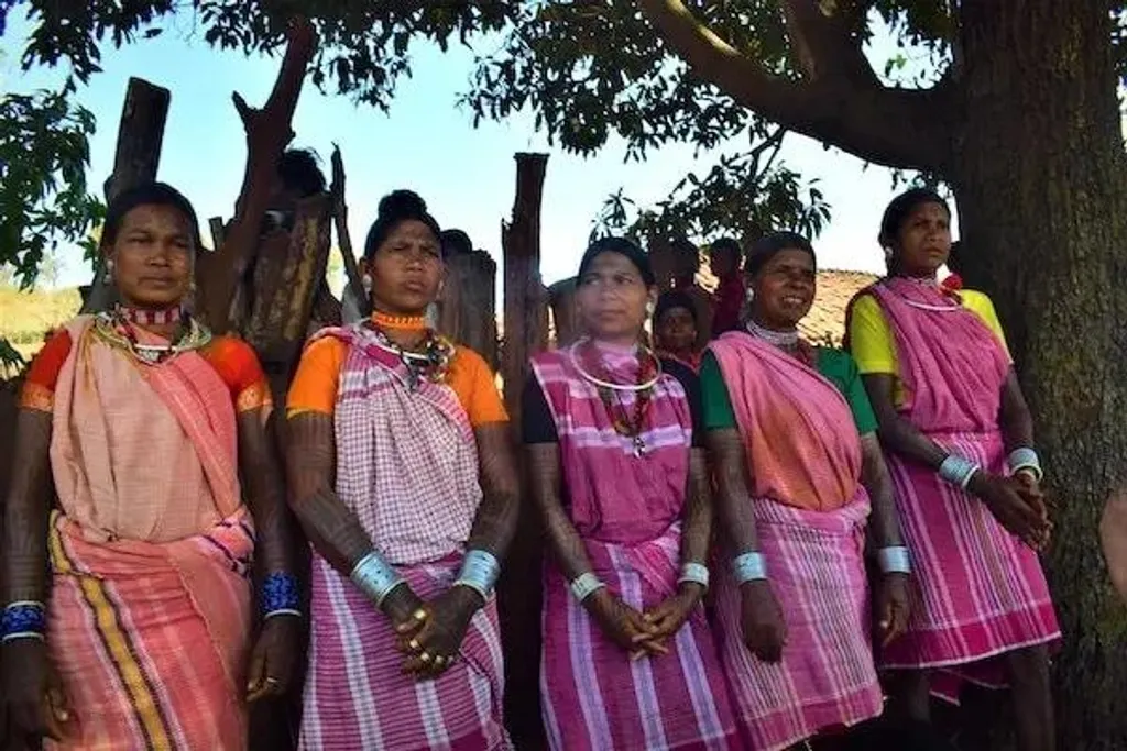 അചനക്‌മാർ- കാന്ഹാ വന്യജീവി സംരക്ഷണ മേഖലയിലെ അചനക്‌മാർ- കാൻഹ ഫോറസ്റ്റ് റിസർവിൽനിന്നും ബൈഗ (Baiga) ജനവിഭാഗത്തെ പുറത്താക്കിയ സംഭവവും, കർണാടകയിലെ നാഗർഹോൾ ടൈഗർ റിസേർവ് പ്രദേശത്തുനിന്ന് പുറത്താക്കപ്പെട്ട ജെനു കുരുബ (Jenu Kuruba) സമൂഹം നടത്തിയ സമരവും ചർച്ചകൾക്ക് വിധേയമാവേണ്ടതാണ്.