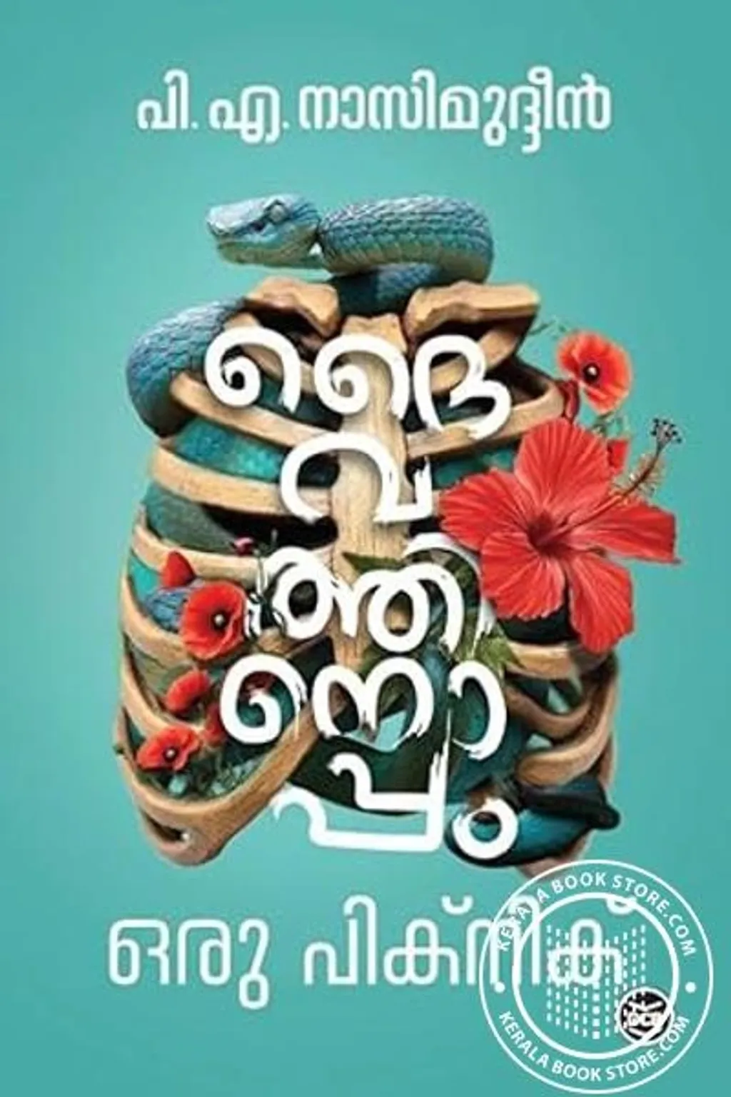 ദൈവത്തിനൊപ്പം ഒരു പിക്നിക് എന്ന സമാഹാരത്തിന്റെ അവതാരികയിൽ, ഡോ. ഇ.വി. രാമകൃഷ്‌ണൻ ഇങ്ങനെ കുറിക്കുന്നു: ‘ഉന്മാദാവസ്ഥയുടെ ഇരുണ്ട തുരങ്കത്തിലൂടെ വെളിച്ചത്തിലേക്ക് സഞ്ചരിച്ച കവിയാണ് നാസിമുദ്ദീൻ.