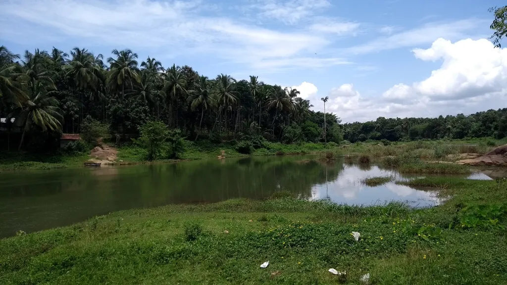 2007-ൽ, ഞാനും എന്റെ പങ്കാളിയും തൂതപ്പുഴയോരത്ത് കാടുപിടിച്ചുകിടന്നിരുന്ന ഭൂമി വാങ്ങിയപ്പോൾ, അദ്ദേഹം അവിടെ ഒരു കാവ് സ്ഥാപിക്കണമെന്ന് ആഗ്രഹം പറഞ്ഞു. 