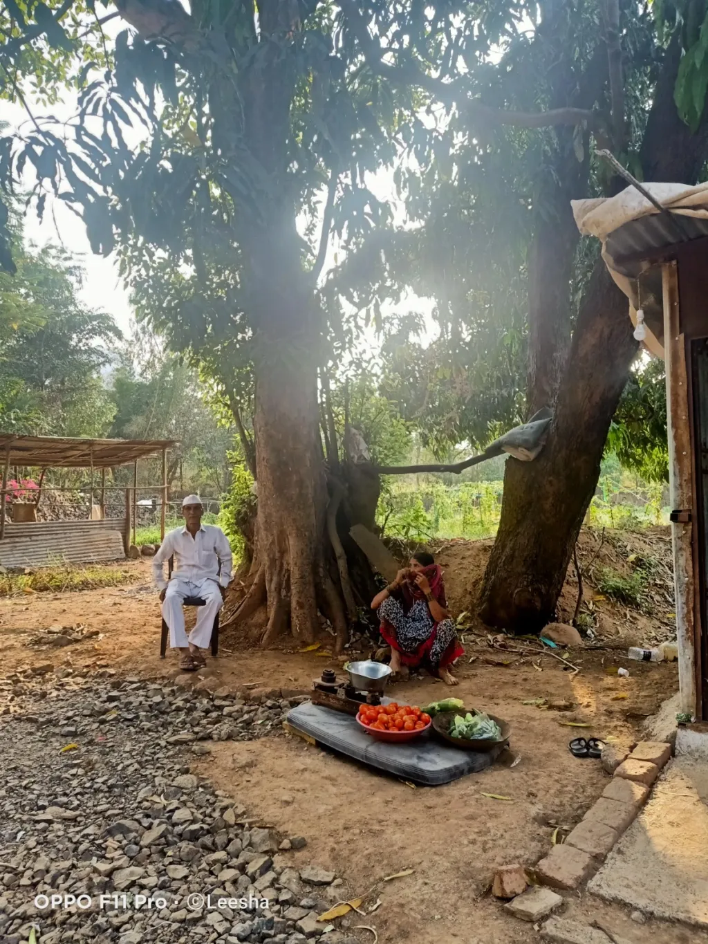 സ്ത്രീസംവരണമുള്ള പഞ്ചായത്തുകളിൽ ഇതുവരെ ഭർത്താവോ അമ്മായിയപ്പനോ ഭരിച്ചിരുന്ന സ്ഥാനത്ത് പൊട്ടുപിടിച്ച കാഞ്ചൻ ബായിയെ പോലുള്ള പെണ്ണുങ്ങളുടെ പേരുവച്ച് ഇലക്ഷനിൽ മത്സരിപ്പിക്കും. ബാലറ്റ് പേപ്പറിൽ മാത്രം ഒതുങ്ങുന്ന പേര്.