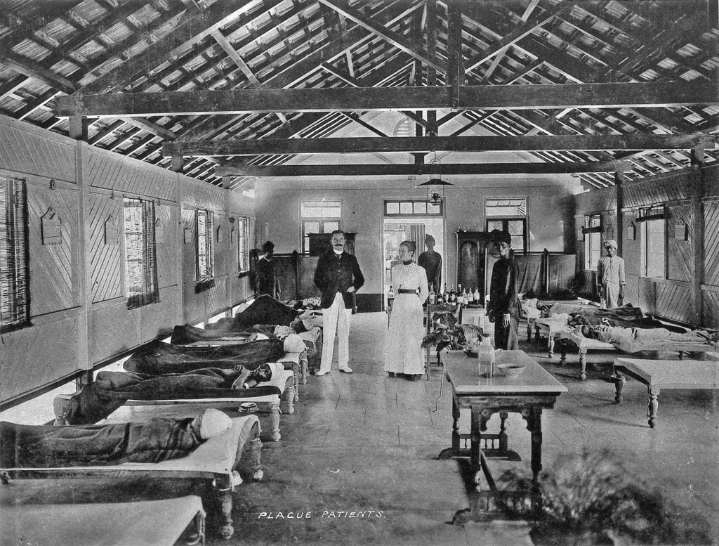 1896-ൽ ബാംഗ്ലൂരിൽ പ്ലേഗ് പടർന്നുപിടിച്ചപ്പോൾ സ്വന്തം ജീവൻ പോലും പണയപ്പെടുത്തിയാണ് ഡോ. പി. പൽപ്പു രോഗപ്രതിരോധപ്രവർത്തനങ്ങൾക്ക് നേതൃത്വം നൽകിയത്.