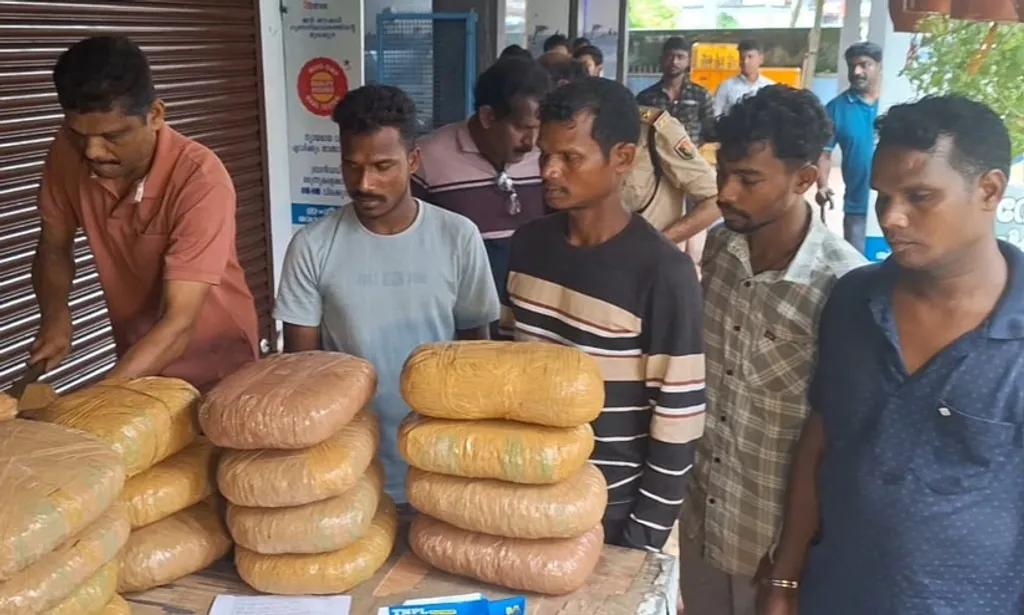 ‘ഓപ്പറേഷൻ തൂഫാ’ന്റെ ഭാഗമായി അങ്കമാലി കറുകുറ്റി റെയിൽവേസ്റ്റേഷൻ പരിസരത്തുനിന്ന് കഞ്ചാവുമായി പിടിയിലായ ഒഡിഷ സ്വദേശികൾ.