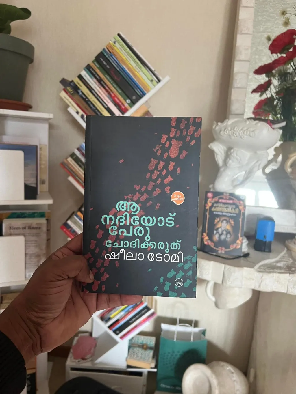 പലസ്തീനിൽ പോകാതെ ആ ദേശത്തെക്കുറിച്ച് എഴുതാൻ പറ്റുമോ എന്നു ചോദിച്ചാൽ തീർച്ചയായും സാധിക്കും. എന്നാൽ പലസ്തീൻ ജനതയുടെ വികാരം മനസ്സിലാക്കാൻ വായനകൾക്കപ്പുറം ഒരു ഇഴുകിച്ചേരൽ ആവശ്യമാണ്‌.
