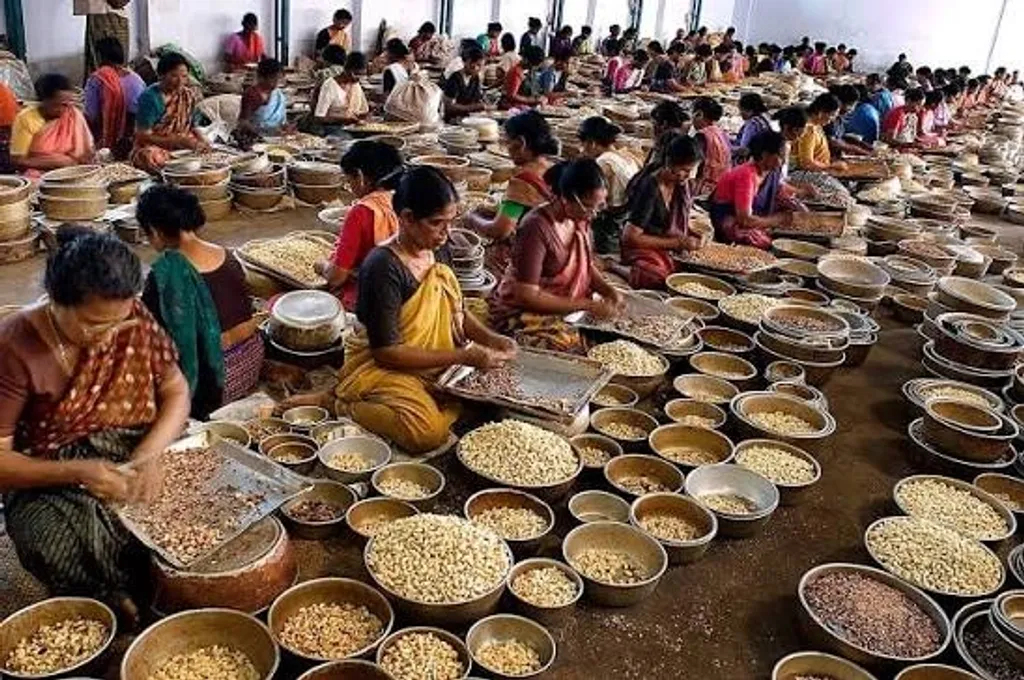 കേരളത്തിൽ ഒരോ 80 കിലോ (കയറ്റുമതി പാക്കേജ്) കശുവണ്ടി ഉത്പാദനത്തിനുള്ള ചെലവ് ഏകദേശം 2500 രൂപയാണെങ്കിൽ വിയറ്റ്നാമിൽ അത് വെറും 800 രൂപയാണ്. 