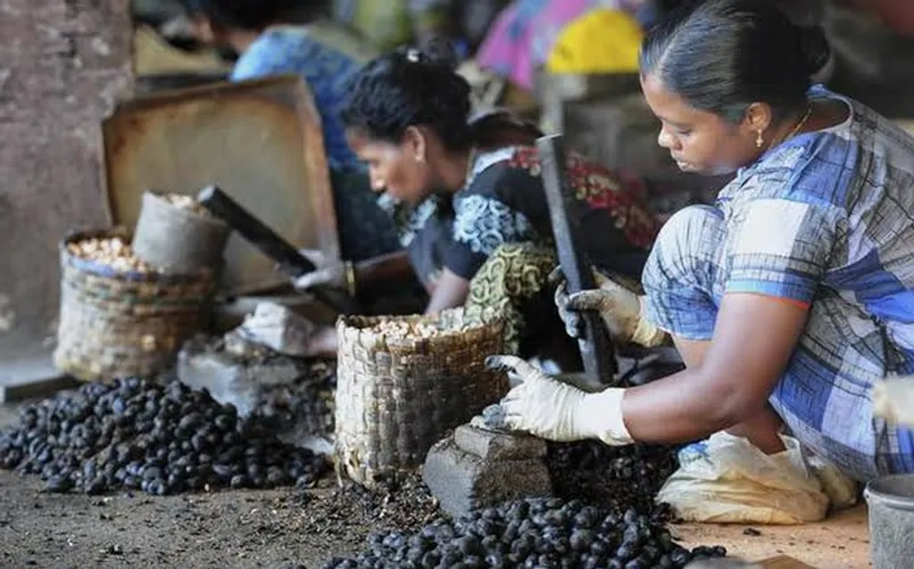 കശുവണ്ടി കയറ്റുമതി ചെയ്താൽ കൊല്ലം എന്ന സ്​ഥലത്തെ പ്രതിശീർഷ വരുമാനം മാത്രം കേരളത്തിന്റെ മൊത്തം സമ്പദ്ഘടനയെ വലിയ രീതിയിൽ സ്വാധീനിക്കും. 