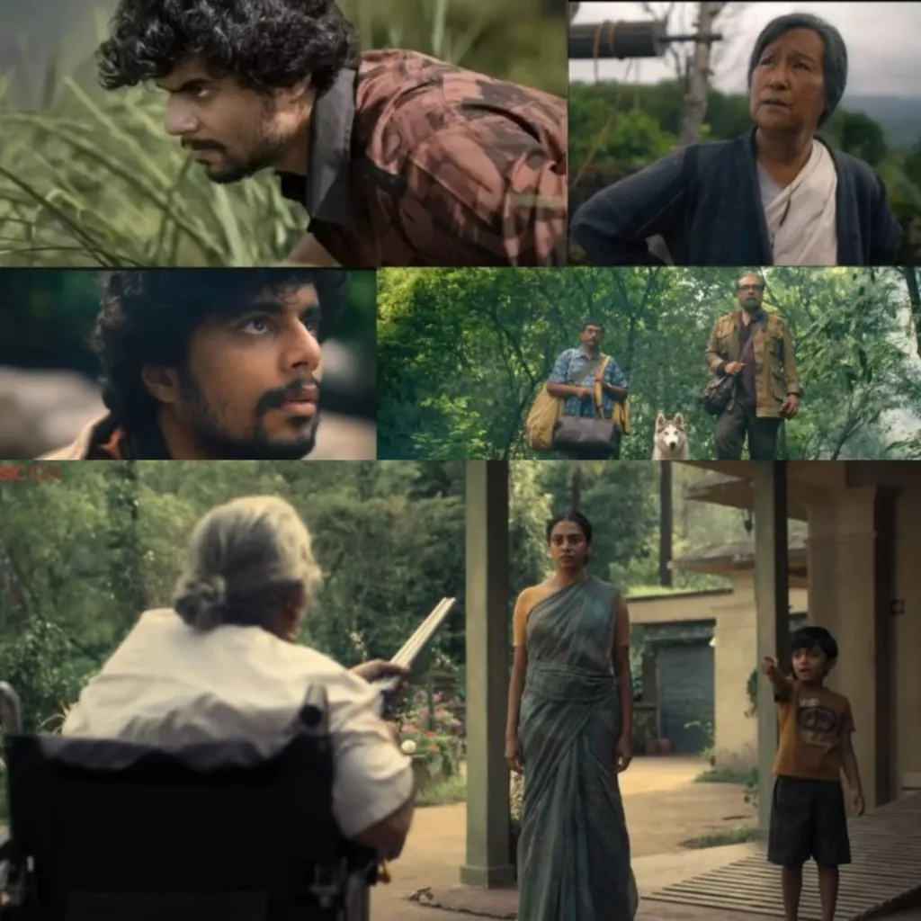 യഥാർത്ഥത്തിൽ എക്കോ, ബാലൻ ദ ബോയ് എന്നീ ചിത്രങ്ങൾ, പെട്ടെന്നുള്ള അധികാരപ്രാപ്തിയിലൂടെയല്ല മറിച്ച് പരിസരജാഗ്രത, ഹിംസ എന്നിവയിലൂടെ അടിച്ചമർത്തപ്പെട്ടവർക്ക് അധികാരം എങ്ങനെ തിരികെ ലഭിക്കുന്നു എന്നത് ചിത്രീകരിക്കുന്നു. 
