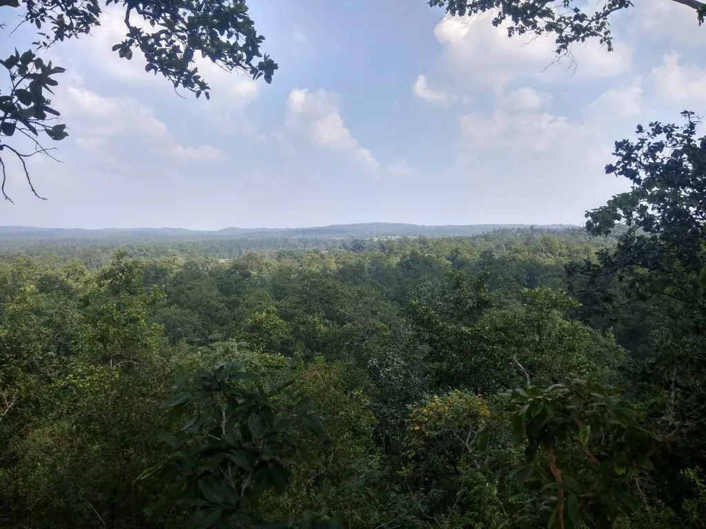 ഛത്തീസ്ഗഢിലെ സർഗുജ, സൂരജ്പുർ, കോർബ ജില്ലകളിലായി വ്യാപിച്ചുകിടക്കുന്ന ഹസ്ദിയോ അറന്ദ് മധ്യ ഇന്ത്യയിലെ ഏറ്റവും വലിയ വിഘടിക്കപ്പെടാത്ത (unfragmented) വനമേഖലകളിലൊന്നാണ്.
