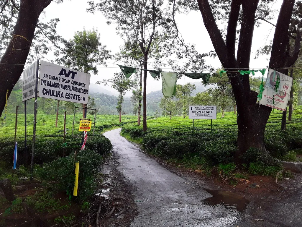 ‘തരിശ്’ എന്നു നിർവചിക്കപ്പെട്ടതോ പതിച്ചുനൽകാവുന്നതെന്നു കണക്കാക്കപ്പെട്ടതോ ആയ ഭൂമി എസ്റ്റേറ്റായി; അതിനോടു ചേർന്നുനിന്ന വനം സംരക്ഷിത വനഖണ്ഡമായി; ചുരംപാതകളും അവയുടെ പോഷകപാതകളും രണ്ടിനെയും പ്രവേശനയോഗ്യമാക്കി.