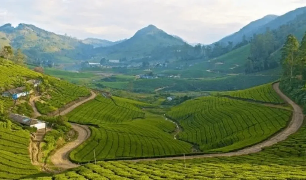 കാർഡമം ഹിൽ ഏരിയ. ജനവാസമേഖലകളെ ഇഎസ്എ പരിധിയിൽ നിന്ന് ഒഴിവാക്കണമെന്നാണ് സംസ്ഥാന സർക്കാർ ആവർത്തിച്ച് നിലപാടെടുത്തിരിക്കുന്നത്. കാർഡമം ഹിൽ ഏരിയ പൂർണമായി മേഖലയിൽനിന്ന് ഒഴിവാക്കണമെന്ന് സംസ്ഥാനം ആവശ്യപ്പെട്ടിട്ടുണ്ട്.