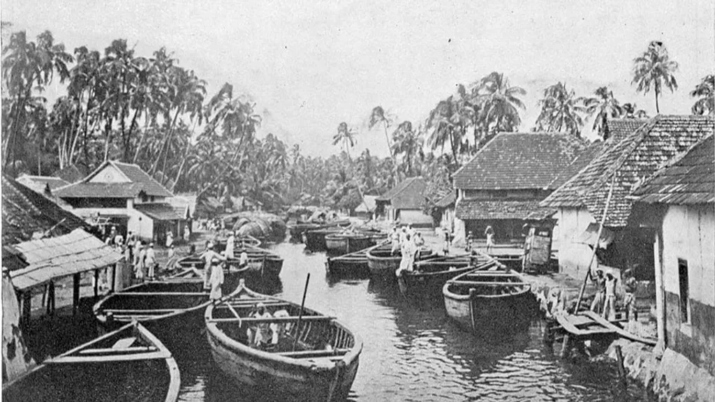 കൊച്ചി കനാൽ. 