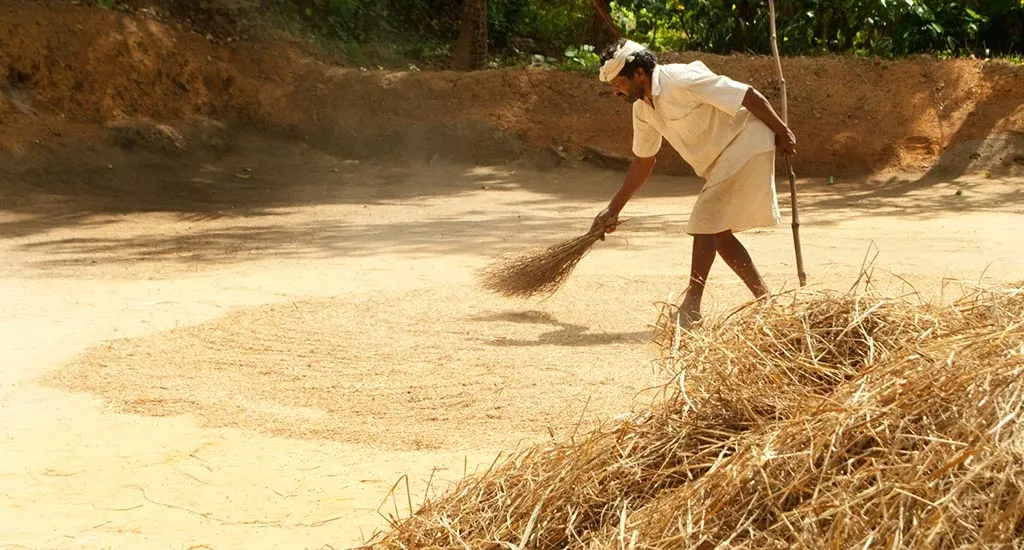 ഭൂമി ചൂഷണം ചെയ്ത് തീർക്കാനുള്ളതല്ലെന്നും, കൃഷിയിൽ നിന്നുള്ള താൽക്കാലികവും ക്ഷിപ്രവുമായ നേട്ടങ്ങൾക്കപ്പുറം നമുക്ക് ഉത്തരവാദിത്തങ്ങളുണ്ടെന്നുമുള്ള തിരിച്ചറിവാണ് ഒരുപക്ഷേ, രാമേട്ടന്റെയും തോറോയുടെയും ഫുകുവോകയുടെയും ജീവിതങ്ങളേയും ആശയങ്ങളേയും ചേർത്തുവെക്കുന്നത്.