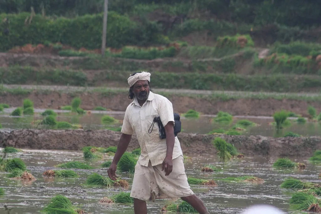 നമ്മളെപ്പോഴും വിപണിയെക്കുറിച്ച് ചിന്തിച്ചപ്പോൾ രാമേട്ടൻ മണ്ണിനേയും വിത്തിനെയും കുറിച്ച് ചിന്തിച്ചു. ഒരു വിത്തും രാമേട്ടൻ കറൻസിയിലേക്ക് പരിഭാഷപ്പെടുത്തിയില്ല. 