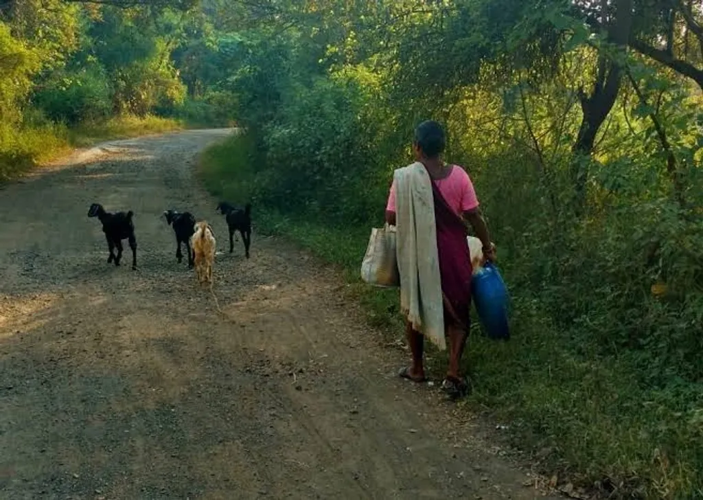 പരമ്പരാഗത ജീവിതമാർഗങ്ങൾ അടഞ്ഞ, ശുദ്ധജലം പോലും ലഭിക്കാത്ത, അനാരോഗ്യവും പട്ടിണിയും തകർത്ത, ദുശ്ശീലത്തിനടിമപ്പെട്ട ചെറുപ്പക്കാർ നിറഞ്ഞ ഒരു നാടായി മാറി ദാപാട.