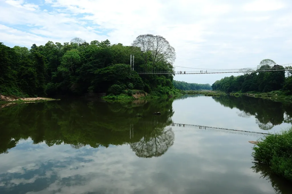 വനത്തിനുള്ളിലെ വണ്ടിപ്പാതകൾ, ട്രാംപാതകൾ, ആനകളെക്കൊണ്ട് തടികൾ വലിച്ചുനീക്കുന്ന സംവിധാനം, ചാലിയാർ–ബേപ്പൂർ നദീവ്യവസ്ഥ എന്നിവ സംയോജിപ്പിച്ചാണ് നിലമ്പൂരിൽനിന്ന് തേക്കുതടികൾ തീരത്തേക്കെത്തിച്ചത്.
